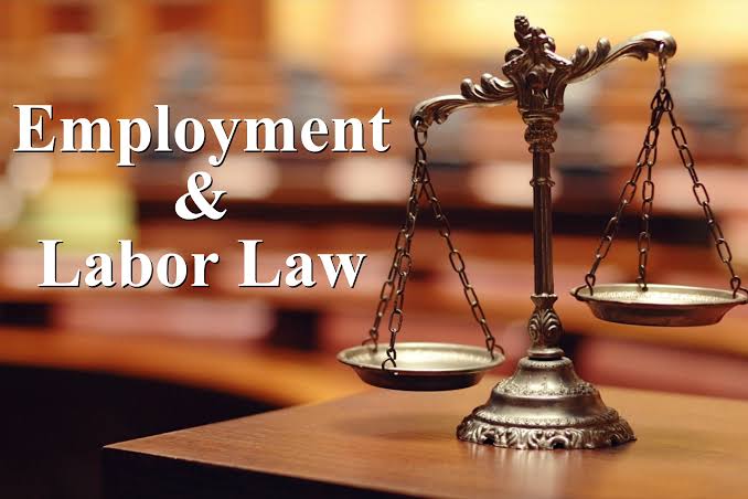employment & labour law