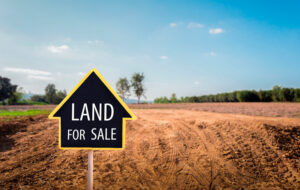 What to Check Before You Buy Land in Kenya
